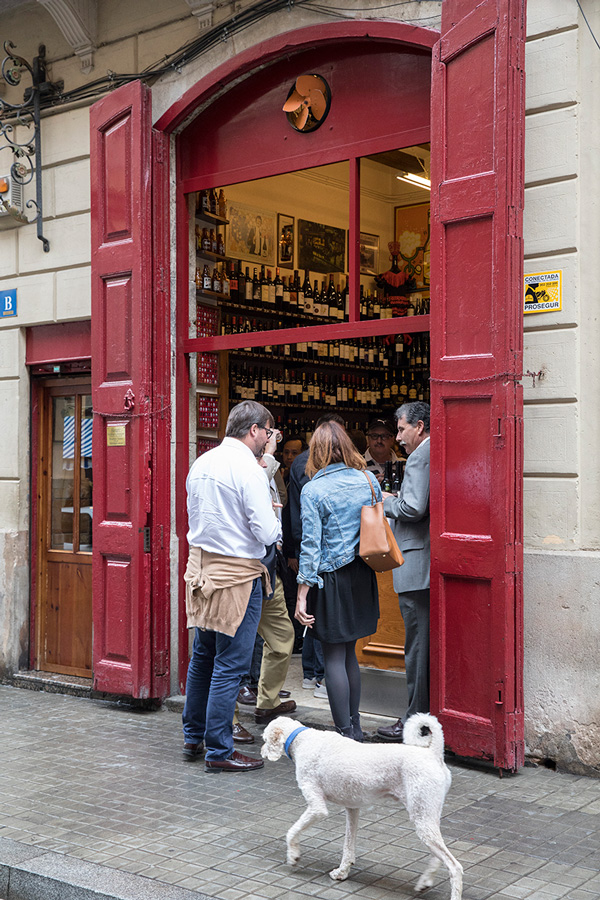 our-roots-AX5A3473 Our Roots